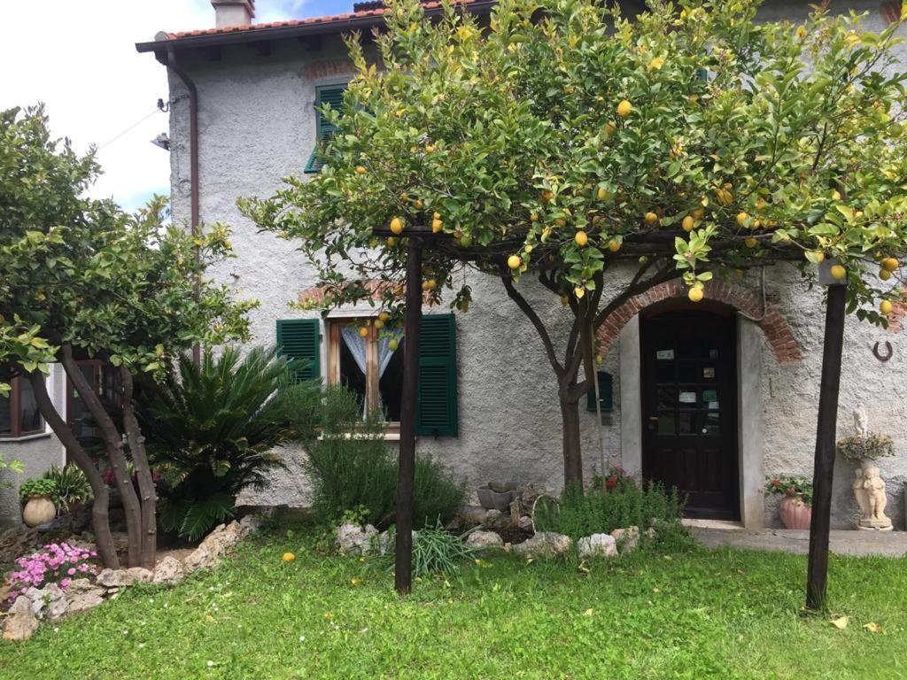 Agriturismo I Lamoi Finale Ligure Εξωτερικό φωτογραφία